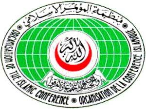 منظمة التعاون الإسلامي : المشروعات الحالية في المسجد الحرام تستدعي خفض أعداد الحجاج والمعتمرين 